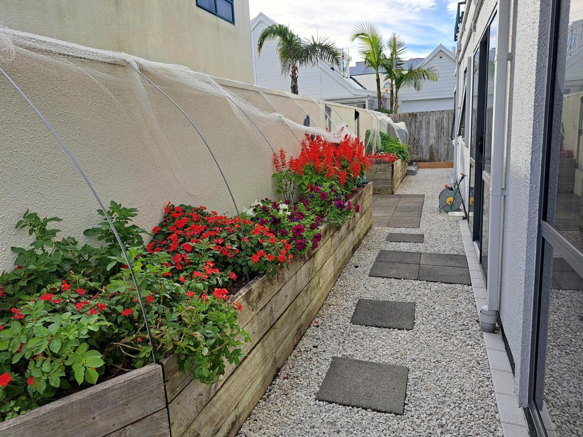 Two Rooms With One Queen Size Bed In Each Room One Bathroom For The Two Rooms Mount Maunganui Exterior foto